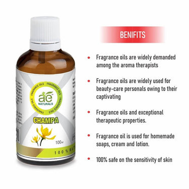 https://cdn.shopify.com/s/files/1/1857/6931/files/pHTfyLxL8w-264330.jpg?v=1736143743